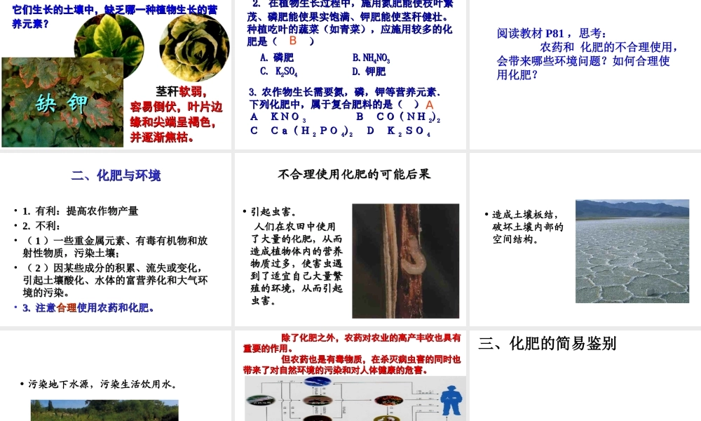 安徽省合肥市肥西县刘河乡九年级化学下册 11.2 化学肥料课件 （新版）新人教版-（新版）新人教版初中九年级下册化学课件