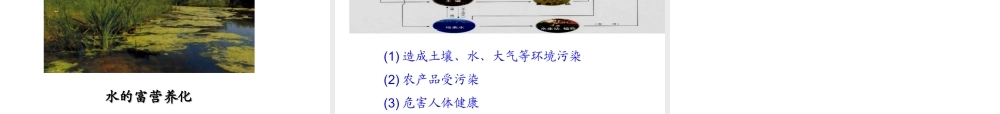 安徽省合肥市肥西县刘河乡九年级化学下册 11.2 化学肥料课件 （新版）新人教版-（新版）新人教版初中九年级下册化学课件