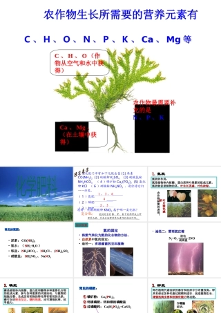 安徽省合肥市肥西县刘河乡九年级化学下册 11.2 化学肥料课件 （新版）新人教版-（新版）新人教版初中九年级下册化学课件