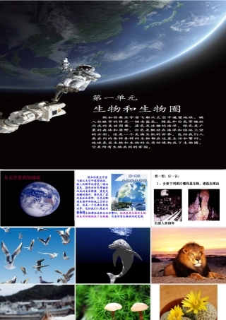 安徽省合肥市长丰县七年级生物上册 1.1.1 生物的特征课件1 （新版）新人教版-（新版）新人教版初中七年级上册生物课件