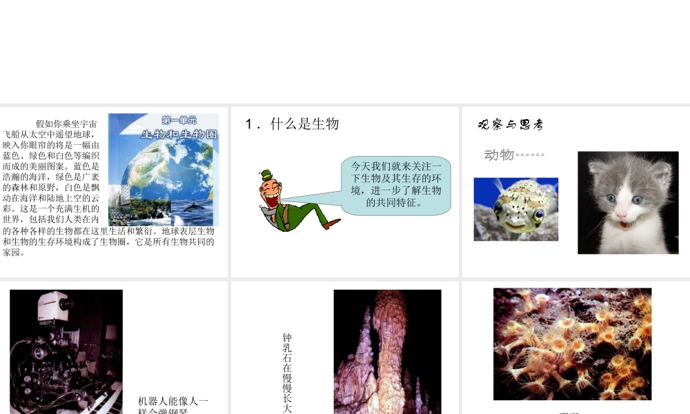 安徽省合肥市长丰县七年级生物上册 1.1.1 生物的特征课件2 （新版）新人教版-（新版）新人教版初中七年级上册生物课件