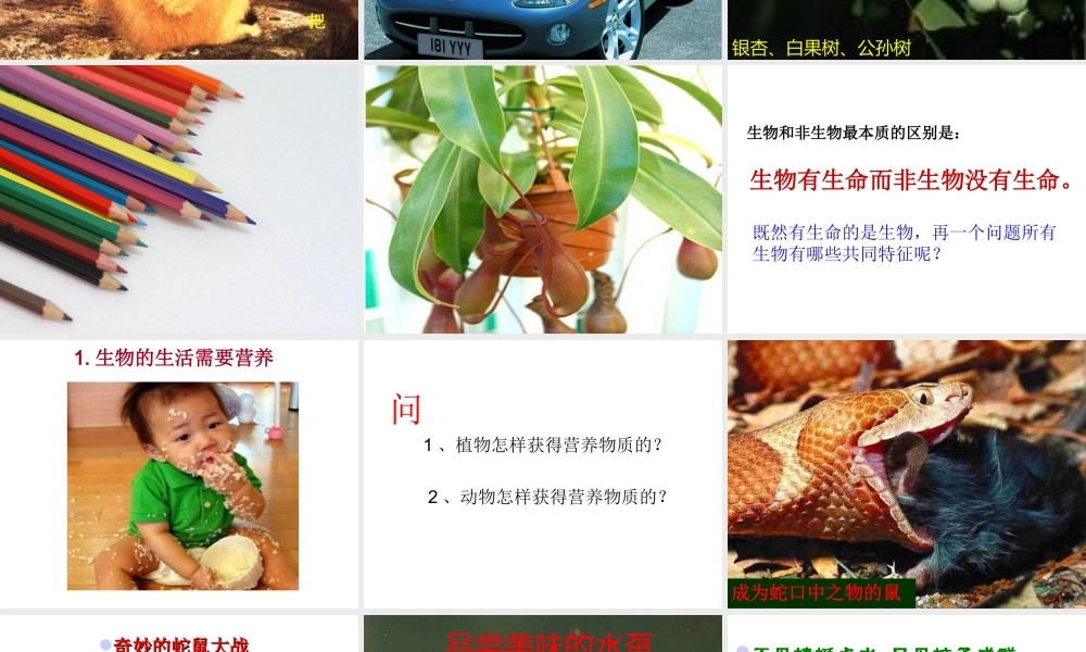 安徽省合肥市长丰县七年级生物上册 1.1.1 生物的特征课件3 （新版）新人教版-（新版）新人教版初中七年级上册生物课件