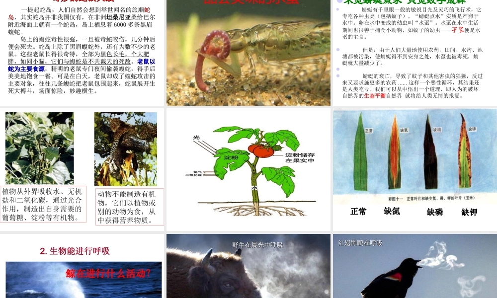 安徽省合肥市长丰县七年级生物上册 1.1.1 生物的特征课件3 （新版）新人教版-（新版）新人教版初中七年级上册生物课件