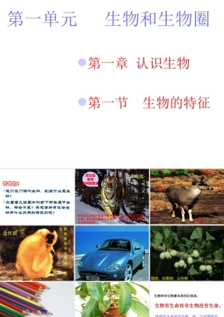 安徽省合肥市长丰县七年级生物上册 1.1.1 生物的特征课件3 （新版）新人教版-（新版）新人教版初中七年级上册生物课件