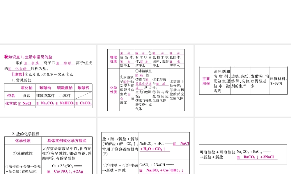 （云南专版）中考化学 第一部分 教材系统复习 第11单元 盐 化肥教学讲解课件 新人教版-新人教版初中九年级全册化学课件