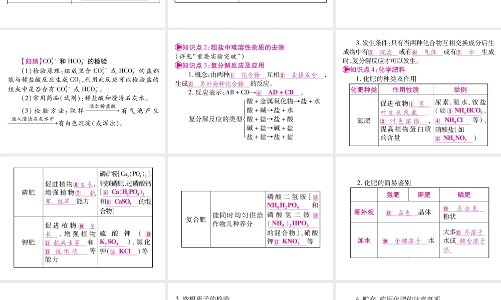 （云南专版）中考化学 第一部分 教材系统复习 第11单元 盐 化肥教学讲解课件 新人教版-新人教版初中九年级全册化学课件
