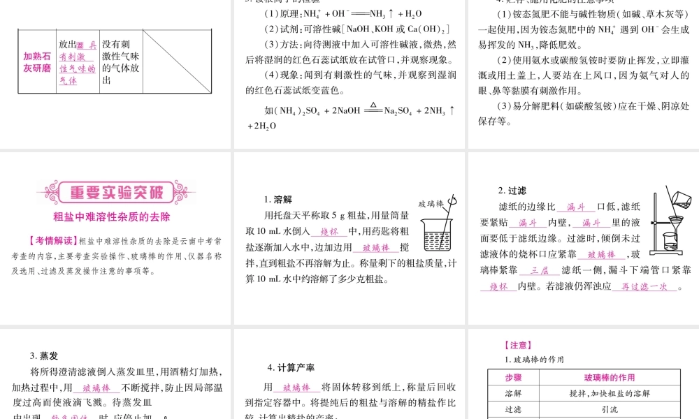 （云南专版）中考化学 第一部分 教材系统复习 第11单元 盐 化肥教学讲解课件 新人教版-新人教版初中九年级全册化学课件