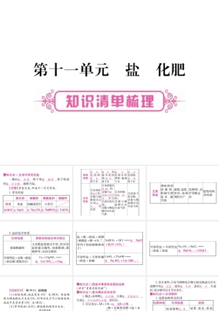 （云南专版）中考化学 第一部分 教材系统复习 第11单元 盐 化肥教学讲解课件 新人教版-新人教版初中九年级全册化学课件