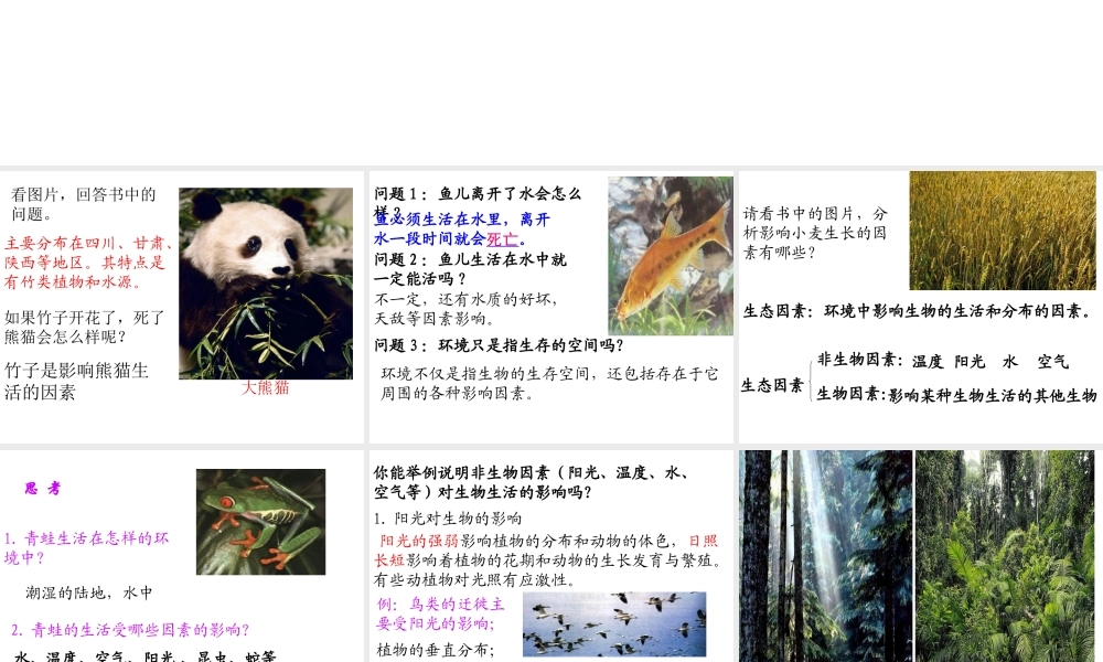 安徽省合肥市长丰县七年级生物上册 1.2.1《生物与环境的关系》（第1课时）课件 （新版）新人教版-（新版）新人教版初中七年级上册生物课件