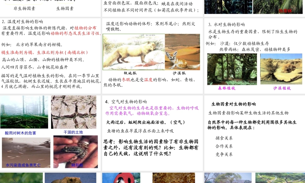 安徽省合肥市长丰县七年级生物上册 1.2.1《生物与环境的关系》（第1课时）课件 （新版）新人教版-（新版）新人教版初中七年级上册生物课件