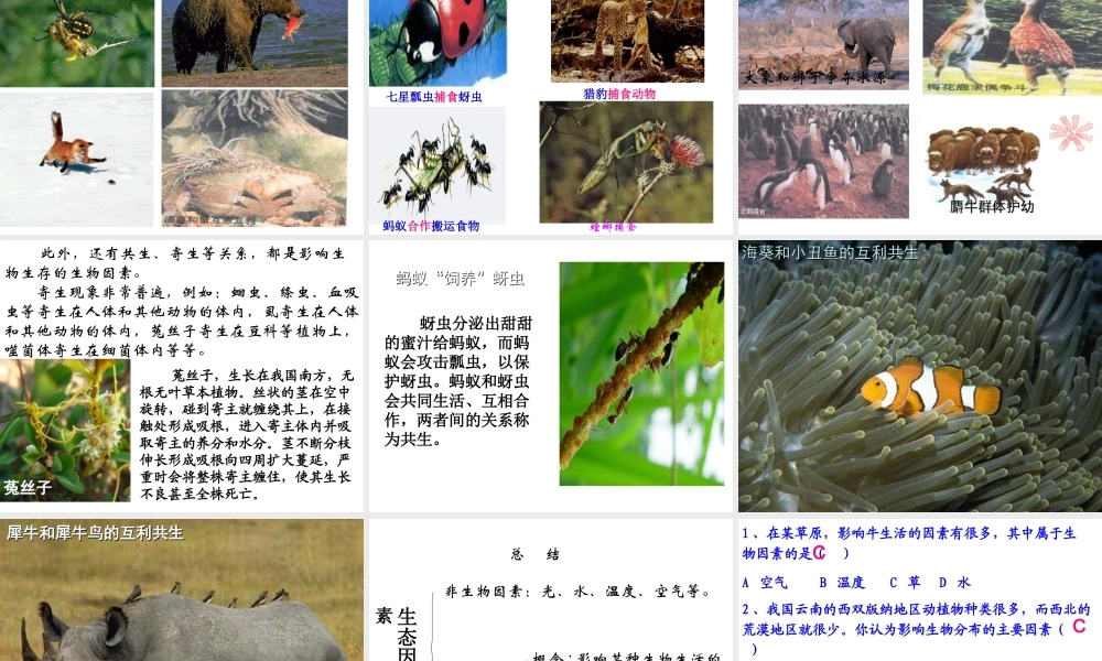 安徽省合肥市长丰县七年级生物上册 1.2.1《生物与环境的关系》（第1课时）课件 （新版）新人教版-（新版）新人教版初中七年级上册生物课件