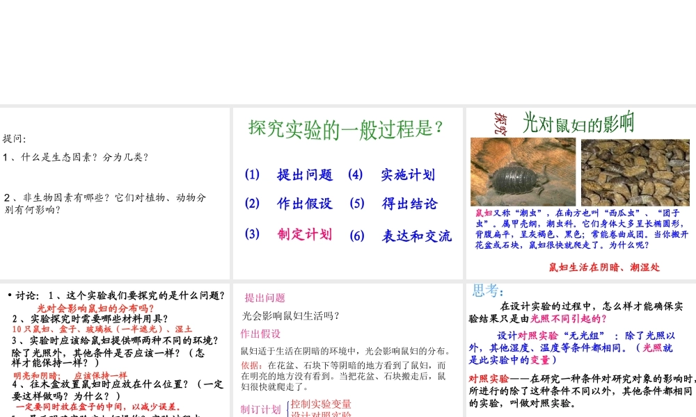 安徽省合肥市长丰县七年级生物上册 1.2.1《生物与环境的关系》（第2课时）课件 （新版）新人教版-（新版）新人教版初中七年级上册生物课件