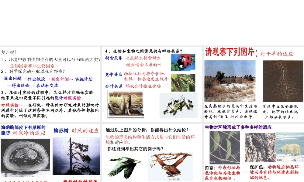 安徽省合肥市长丰县七年级生物上册 1.2.1《生物与环境的关系》（第3课时）课件 （新版）新人教版-（新版）新人教版初中七年级上册生物课件