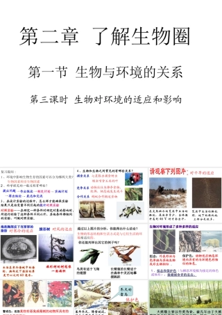 安徽省合肥市长丰县七年级生物上册 1.2.1《生物与环境的关系》（第3课时）课件 （新版）新人教版-（新版）新人教版初中七年级上册生物课件
