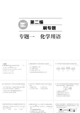 （云南专版）中考化学复习 第二编 专题1 化学用语（精练）课件-人教版初中九年级全册化学课件