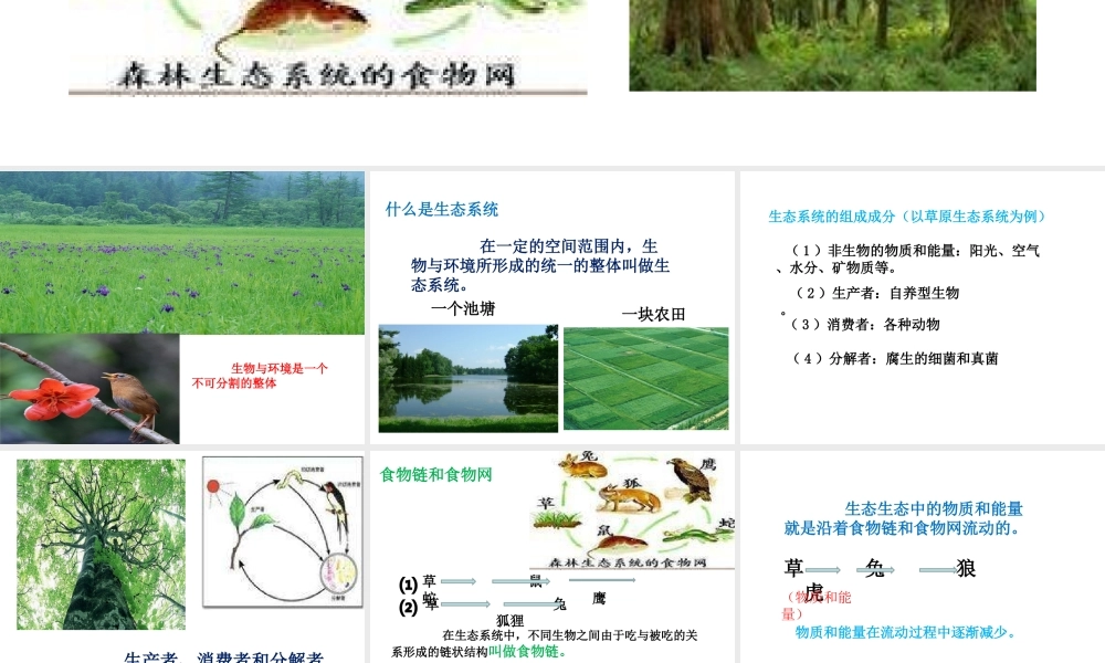 安徽省合肥市长丰县七年级生物上册 1.2.2 生物与环境组成生态系统课件1 （新版）新人教版-（新版）新人教版初中七年级上册生物课件