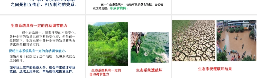 安徽省合肥市长丰县七年级生物上册 1.2.2 生物与环境组成生态系统课件1 （新版）新人教版-（新版）新人教版初中七年级上册生物课件