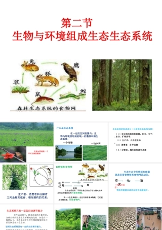 安徽省合肥市长丰县七年级生物上册 1.2.2 生物与环境组成生态系统课件1 （新版）新人教版-（新版）新人教版初中七年级上册生物课件