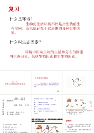 安徽省合肥市长丰县七年级生物上册 1.2.2 生物与环境组成生态系统课件2 （新版）新人教版-（新版）新人教版初中七年级上册生物课件