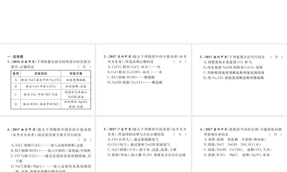 （云南专版）中考化学复习 第二编 专题5 物质的检验 除杂与提纯（精练）课件-人教版初中九年级全册化学课件