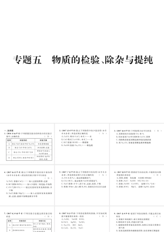 （云南专版）中考化学复习 第二编 专题5 物质的检验 除杂与提纯（精练）课件-人教版初中九年级全册化学课件