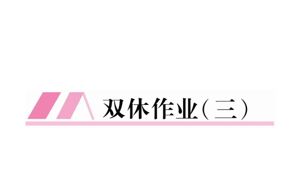（云南专版）九年级语文上册 双休作业三课件 新人教版-新人教版初中九年级上册语文课件