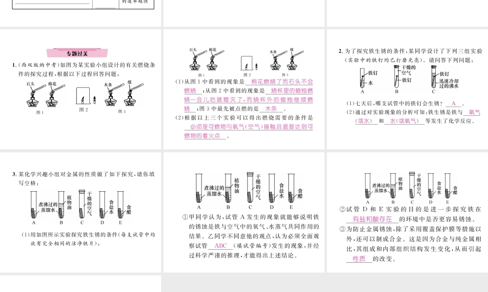 （云南专版）中考化学复习 第二编 专题7 综合探究 三 有关影响因素类问题、条件类问题的探究（精讲）课件-人教版初中九年级全册化学课件