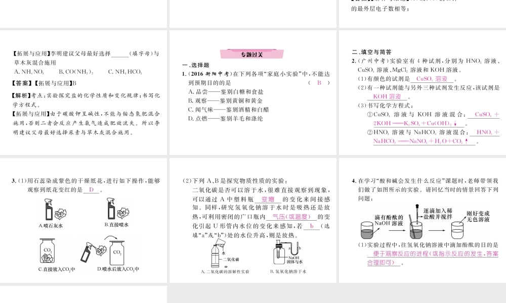 （云南专版）中考化学复习 第二编 专题7 综合探究 四 有关物质性质的探究（精讲）课件-人教版初中九年级全册化学课件