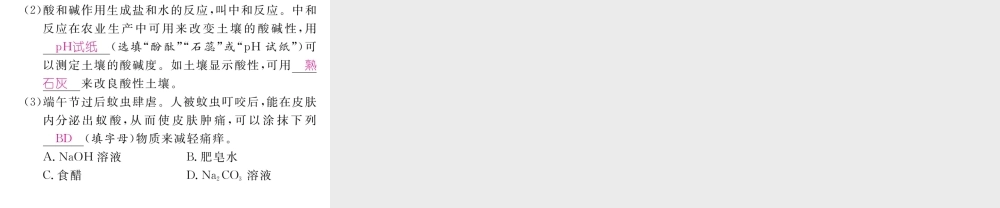 （云南专版）中考化学复习 第二编 专题7 综合探究 四 有关物质性质的探究（精讲）课件-人教版初中九年级全册化学课件