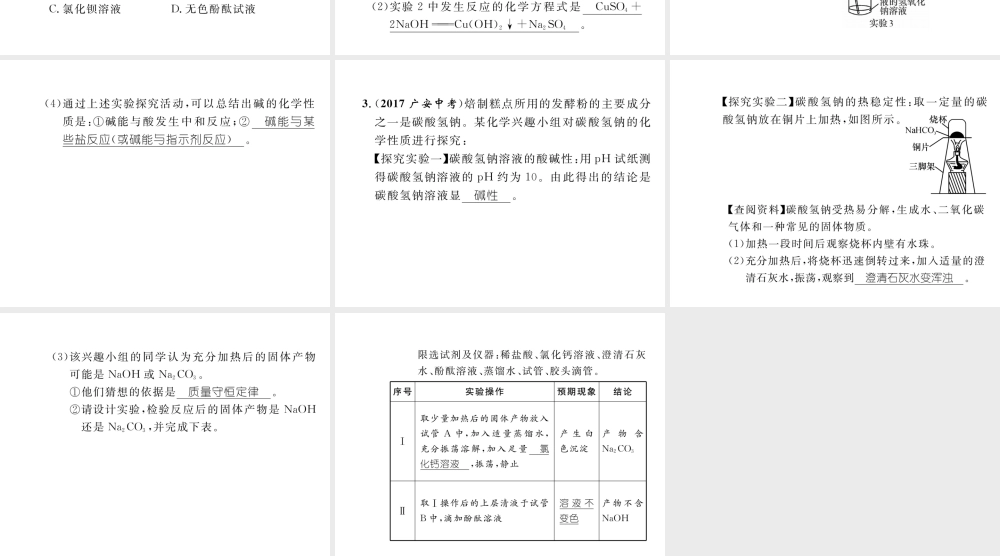 （云南专版）中考化学复习 第二编 专题7 综合探究 四 有关物质性质的探究（精练）课件-人教版初中九年级全册化学课件