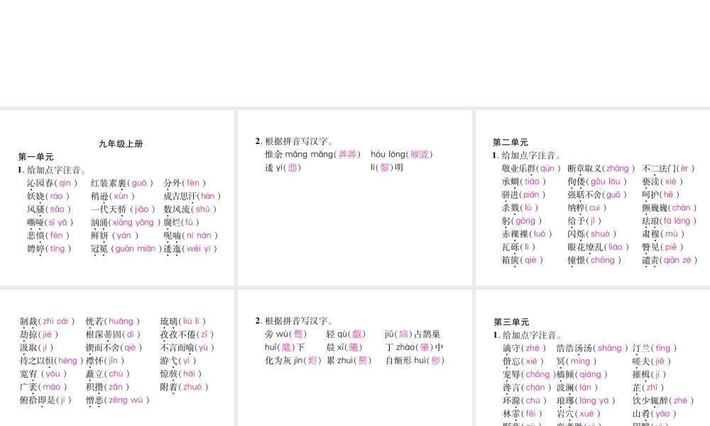 （云南专版）九年级语文上册 专题1 拼音与汉字作业课件 新人教版-新人教版初中九年级上册语文课件