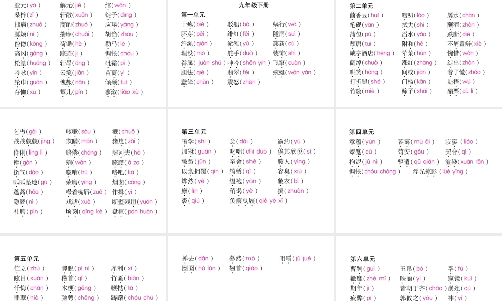 （云南专版）九年级语文上册 专题1 拼音与汉字作业课件 新人教版-新人教版初中九年级上册语文课件