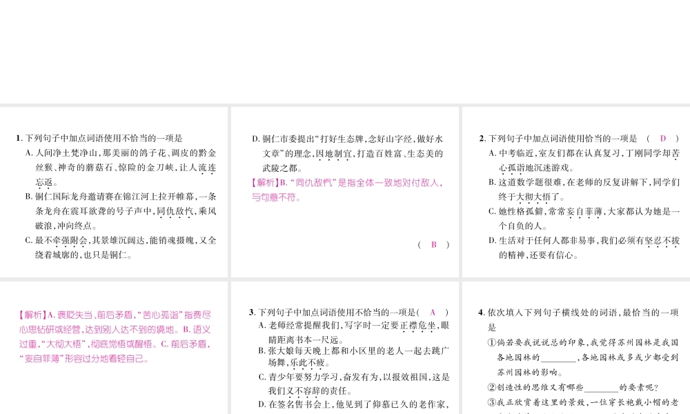 （云南专版）九年级语文上册 专题2 词语的理解与运用作业课件 新人教版-新人教版初中九年级上册语文课件