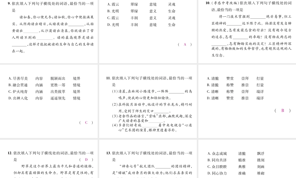 （云南专版）九年级语文上册 专题2 词语的理解与运用作业课件 新人教版-新人教版初中九年级上册语文课件