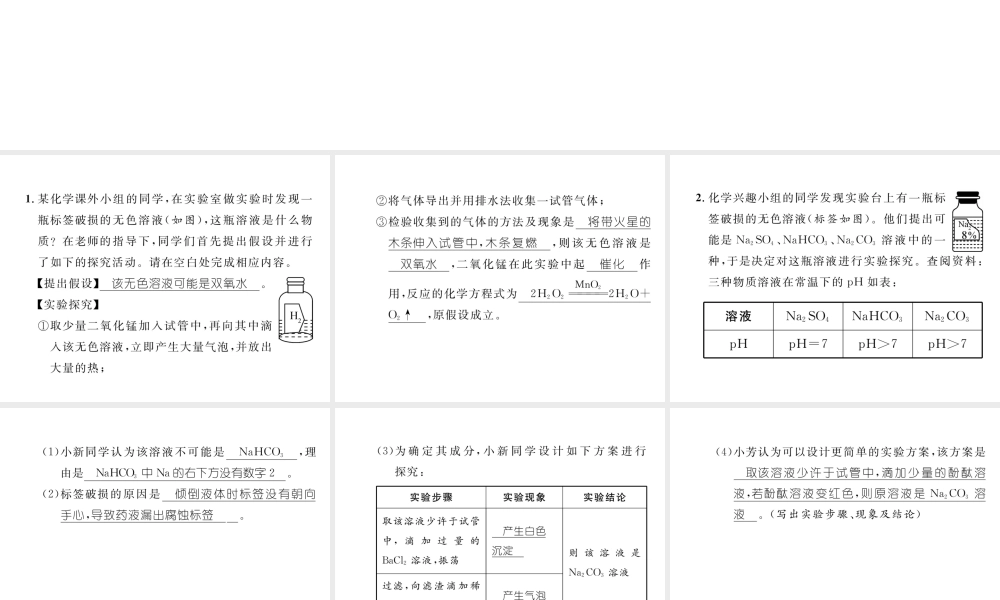 （云南专版）中考化学复习 第二编 专题7 综合探究 一 物质成分问题探究（二）药品标签腐蚀问题探究（精练）课件-人教版初中九年级全册化学课件