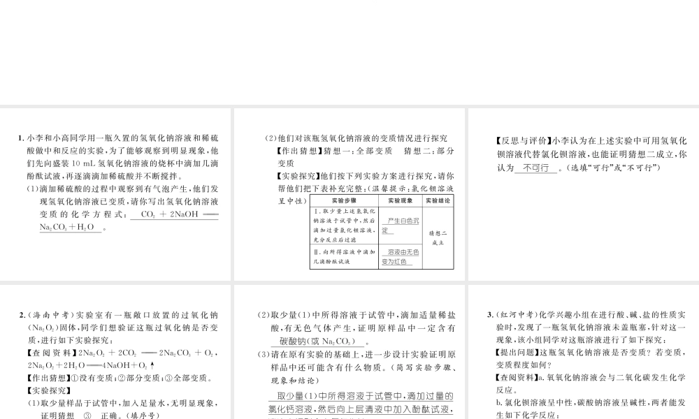 （云南专版）中考化学复习 第二编 专题7 综合探究 一 物质成分问题探究（一）药品变质问题探究（精练）课件-人教版初中九年级全册化学课件