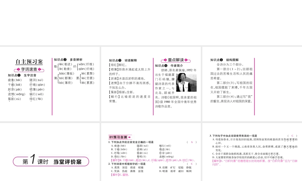 （云南专版）九年级语文下册 1 祖国啊，我亲爱的祖国作业课件 新人教版-新人教版初中九年级下册语文课件