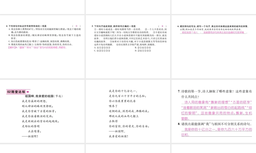 （云南专版）九年级语文下册 1 祖国啊，我亲爱的祖国作业课件 新人教版-新人教版初中九年级下册语文课件
