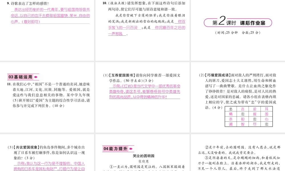 （云南专版）九年级语文下册 1 祖国啊，我亲爱的祖国作业课件 新人教版-新人教版初中九年级下册语文课件