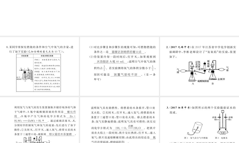 （云南专版）中考化学复习 第二编 专题8 重要实验突破（精练）课件-人教版初中九年级全册化学课件