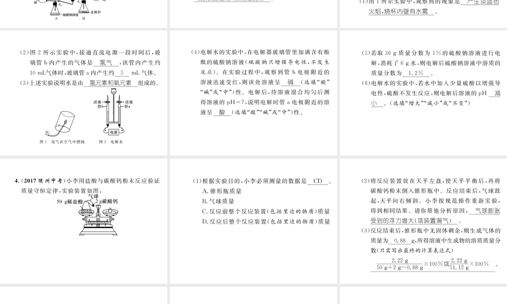 （云南专版）中考化学复习 第二编 专题8 重要实验突破（精练）课件-人教版初中九年级全册化学课件