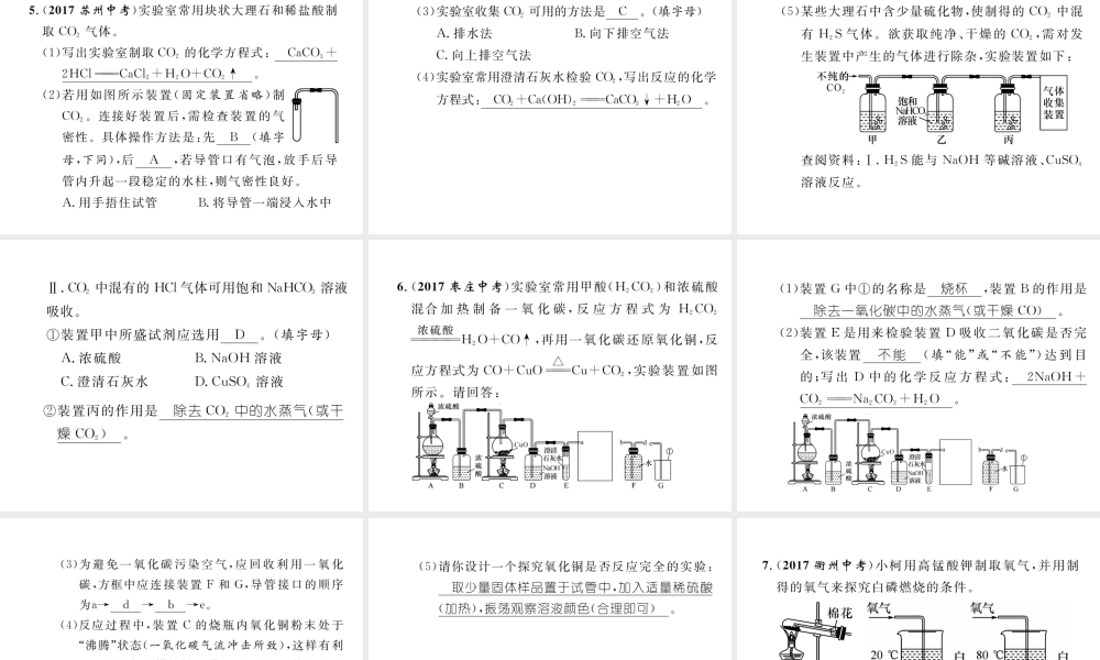 （云南专版）中考化学复习 第二编 专题8 重要实验突破（精练）课件-人教版初中九年级全册化学课件