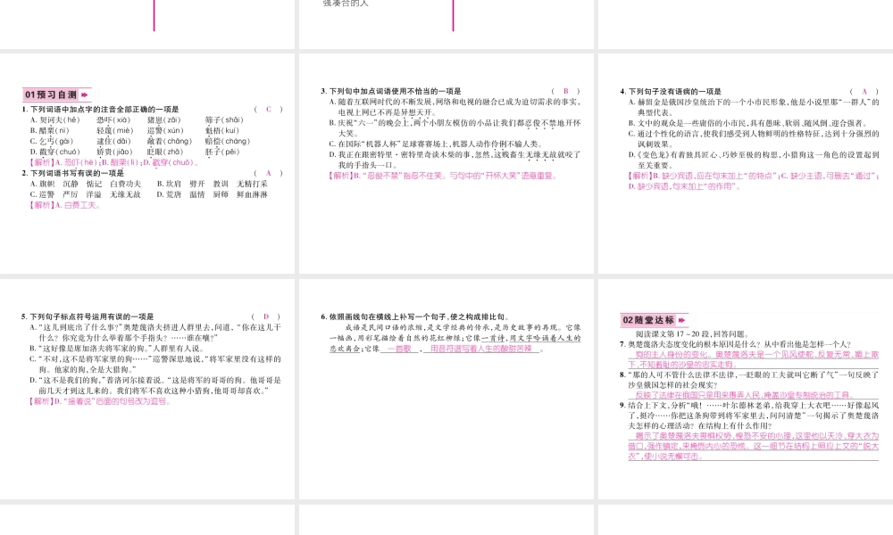 （云南专版）九年级语文下册 6 变色龙作业课件 新人教版-新人教版初中九年级下册语文课件