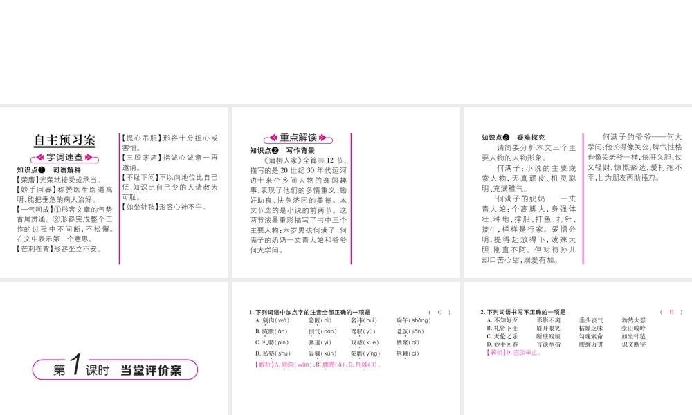 （云南专版）九年级语文下册 8 蒲柳人家（节选）作业课件 新人教版-新人教版初中九年级下册语文课件