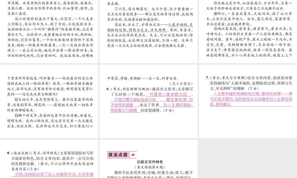 （云南专版）九年级语文下册 8 蒲柳人家（节选）作业课件 新人教版-新人教版初中九年级下册语文课件