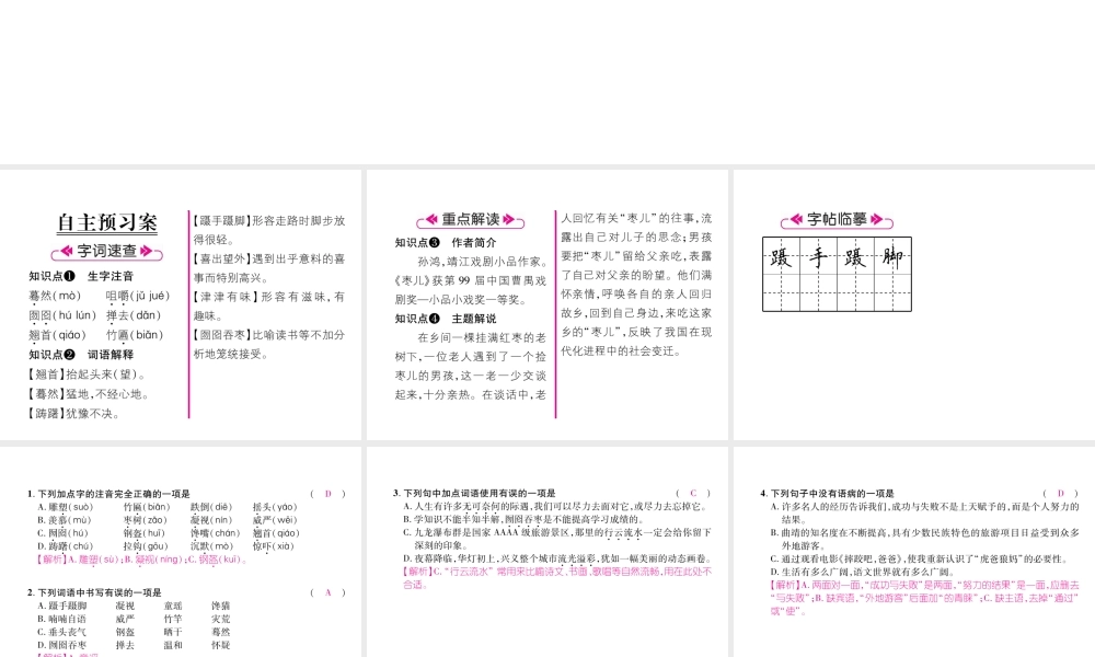 （云南专版）九年级语文下册 19 枣儿作业课件 新人教版-新人教版初中九年级下册语文课件