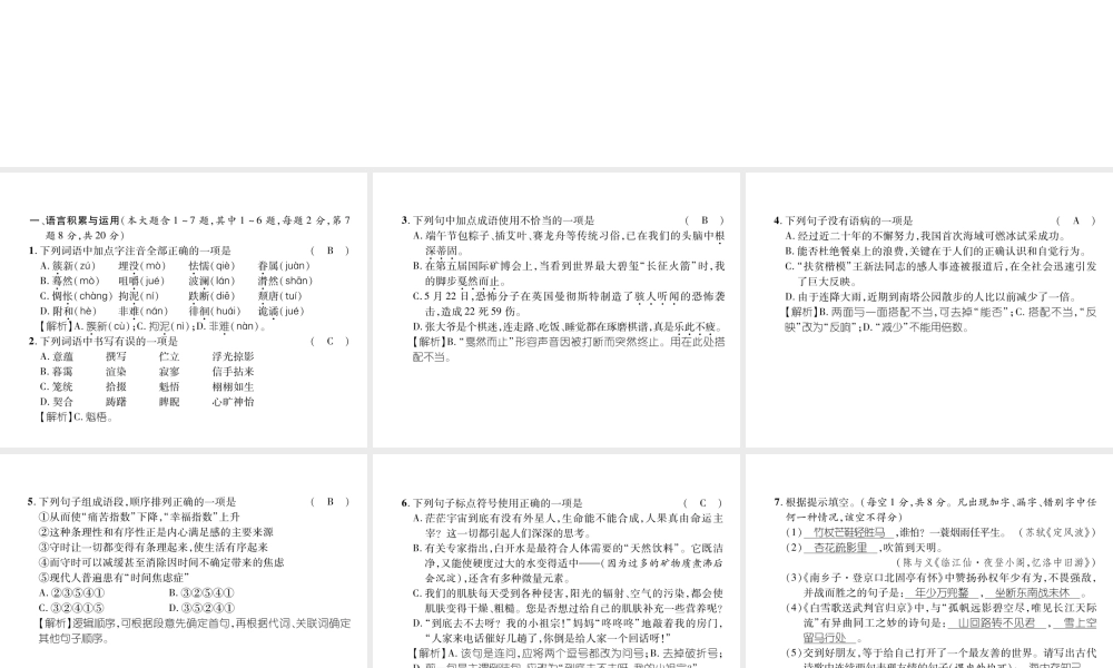 （云南专版）九年级语文下册 期末达标测试课件 新人教版-新人教版初中九年级下册语文课件