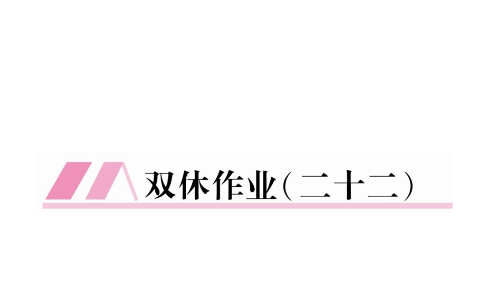 （云南专版）九年级语文下册 双休作业二十二课件 新人教版-新人教版初中九年级下册语文课件