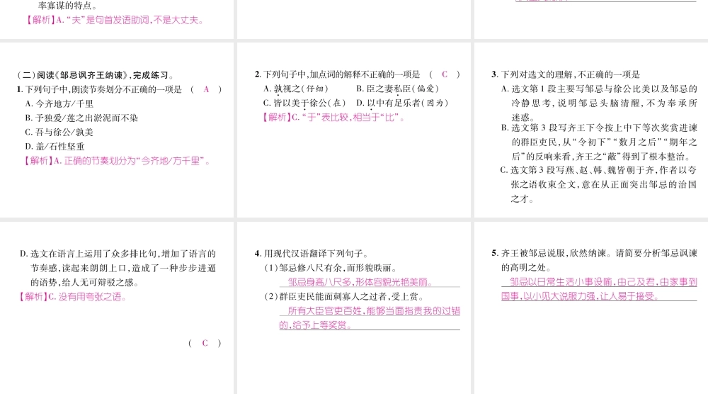 （云南专版）九年级语文下册 双休作业二十二课件 新人教版-新人教版初中九年级下册语文课件