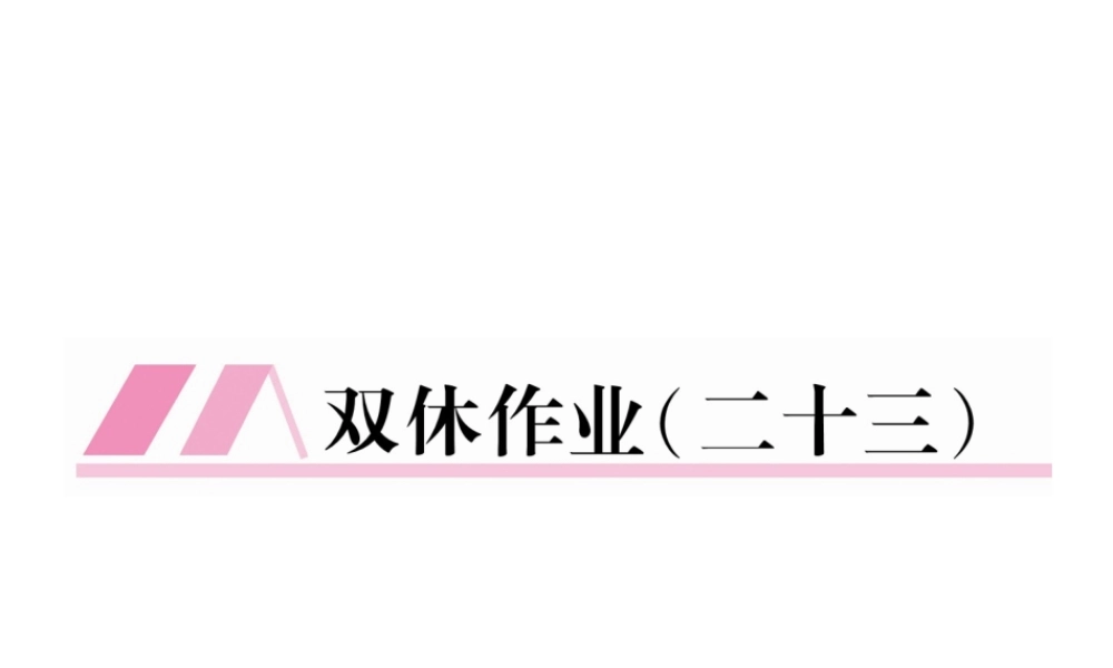 （云南专版）九年级语文下册 双休作业二十三课件 新人教版-新人教版初中九年级下册语文课件